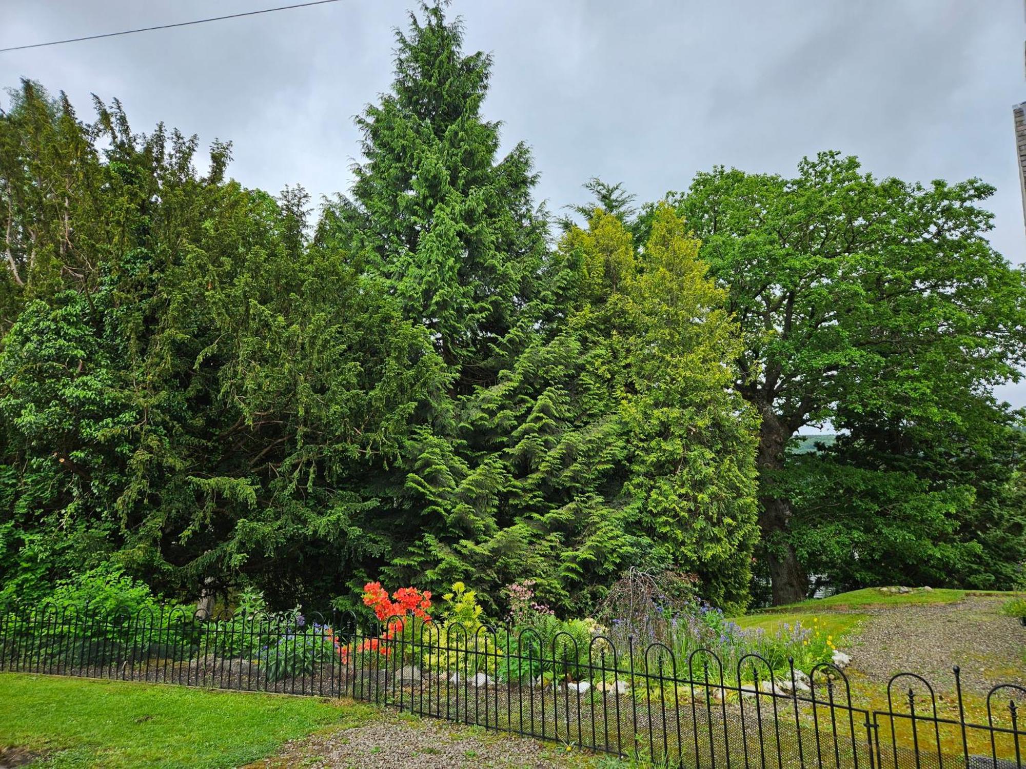 Cosy Peaceful One-Bedroom Cottage In Pitlochry Exterior foto